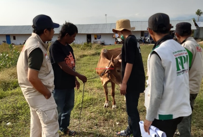 Sandiaga Uno Sumbang Hewan Qurban Melalui DPD HILMI-FPI Sulteng