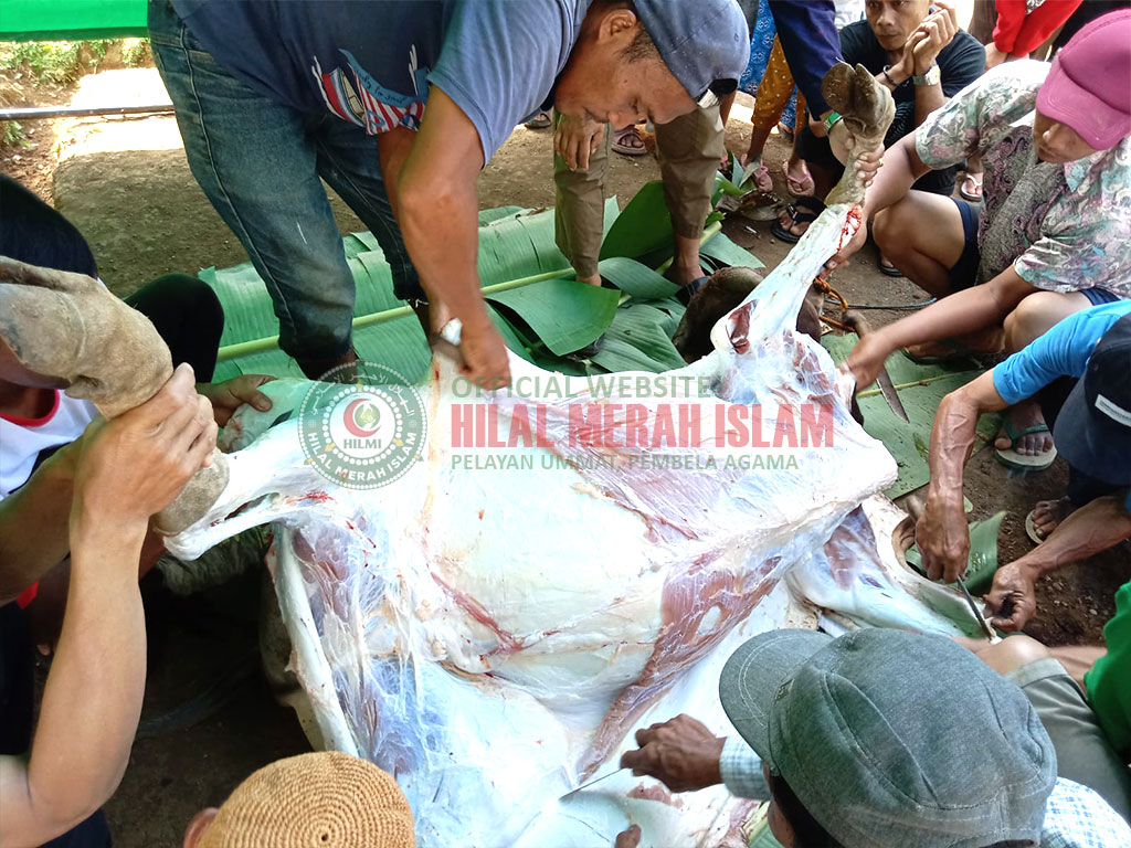 HILMI-FPI Sebar Daging Qurban