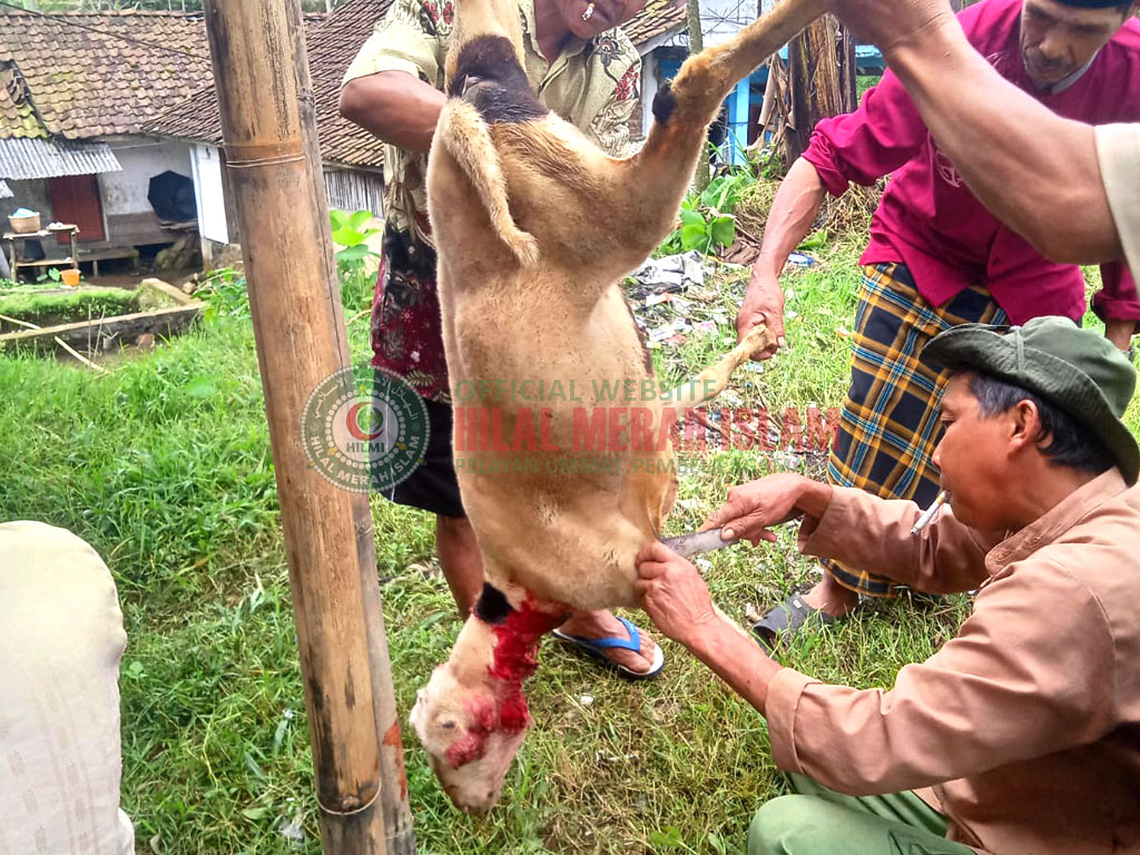 HILMI FPI Tasikmalaya Sebarkan Daging Qurban