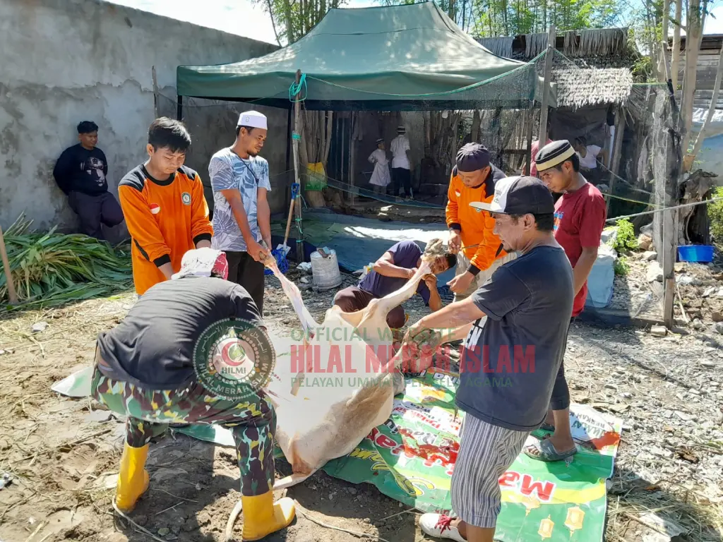 Kabupaten Donggala dan Kota Palu Menerima Kiriman Daging Qurban Dari HILMI-FPI Sulawesi Tengah