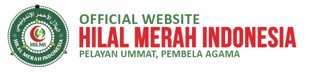 Logo Hilmi