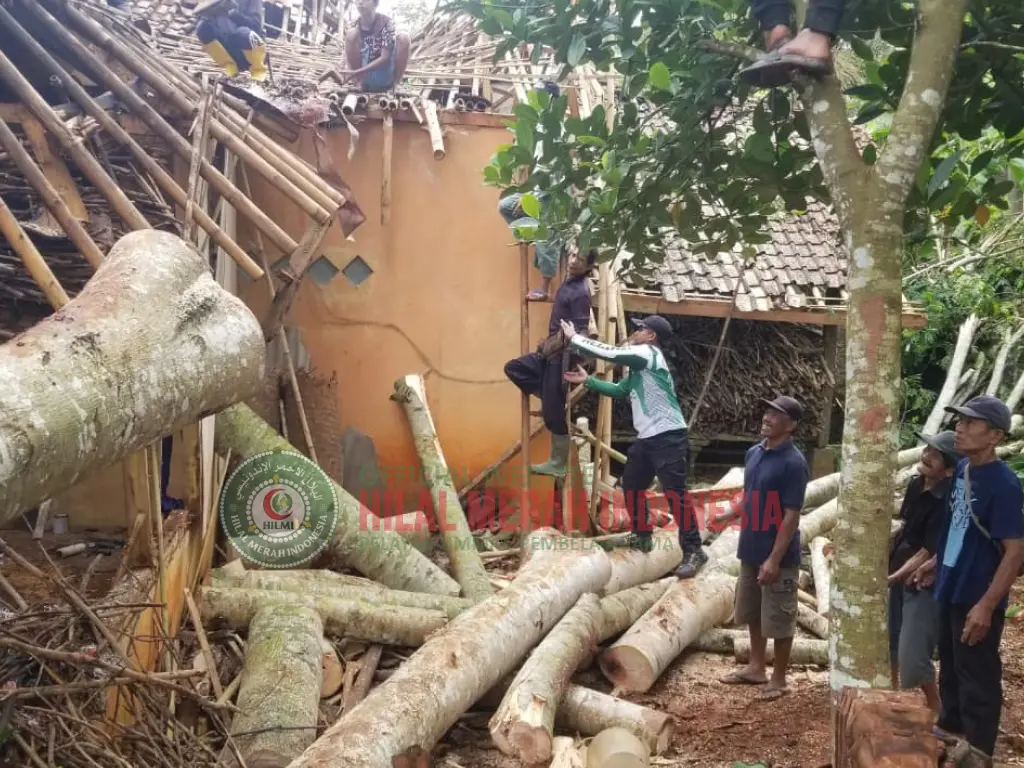 Hilmi Pohon Tumbang di Ciamis Dua