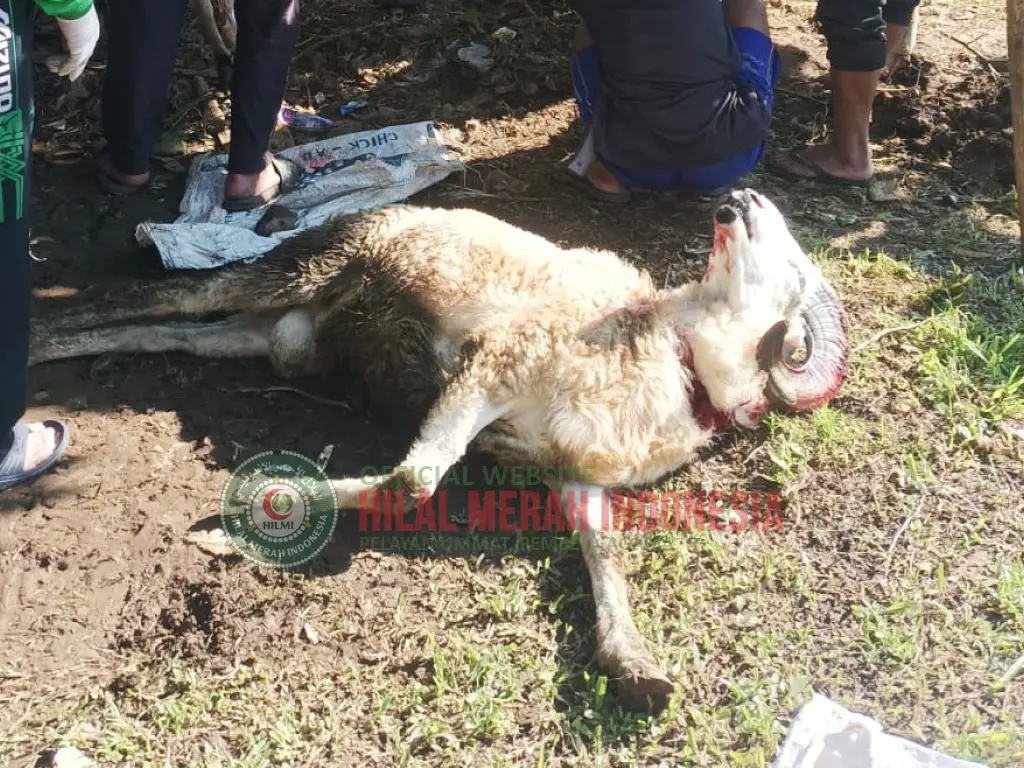 HILMI FPI Tebar Qurban Dakwah Untuk Saudara Mualaf Di Kab. Tasikmalaya Jawa Barat