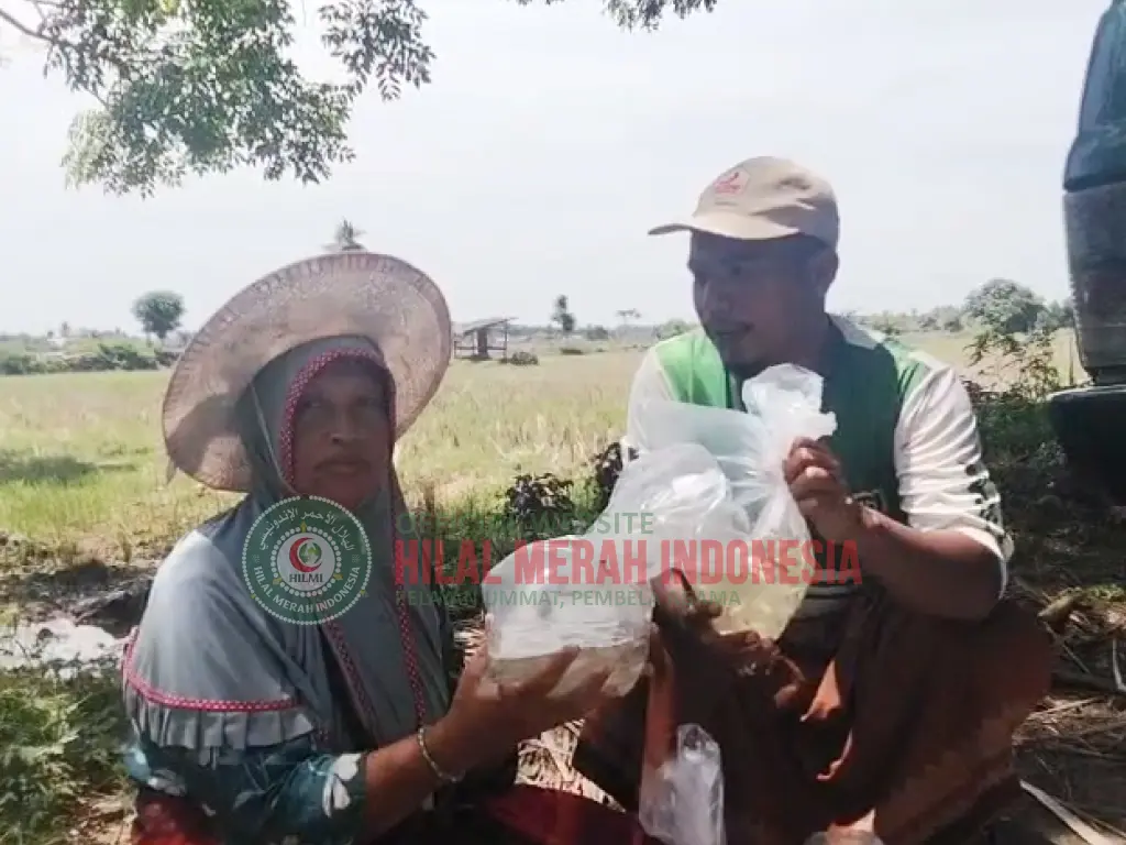 Hilmi 20 Ribu Bibit Ikan Bandeng Disalurkan untuk Korban Banjir di Lhokseumawe
