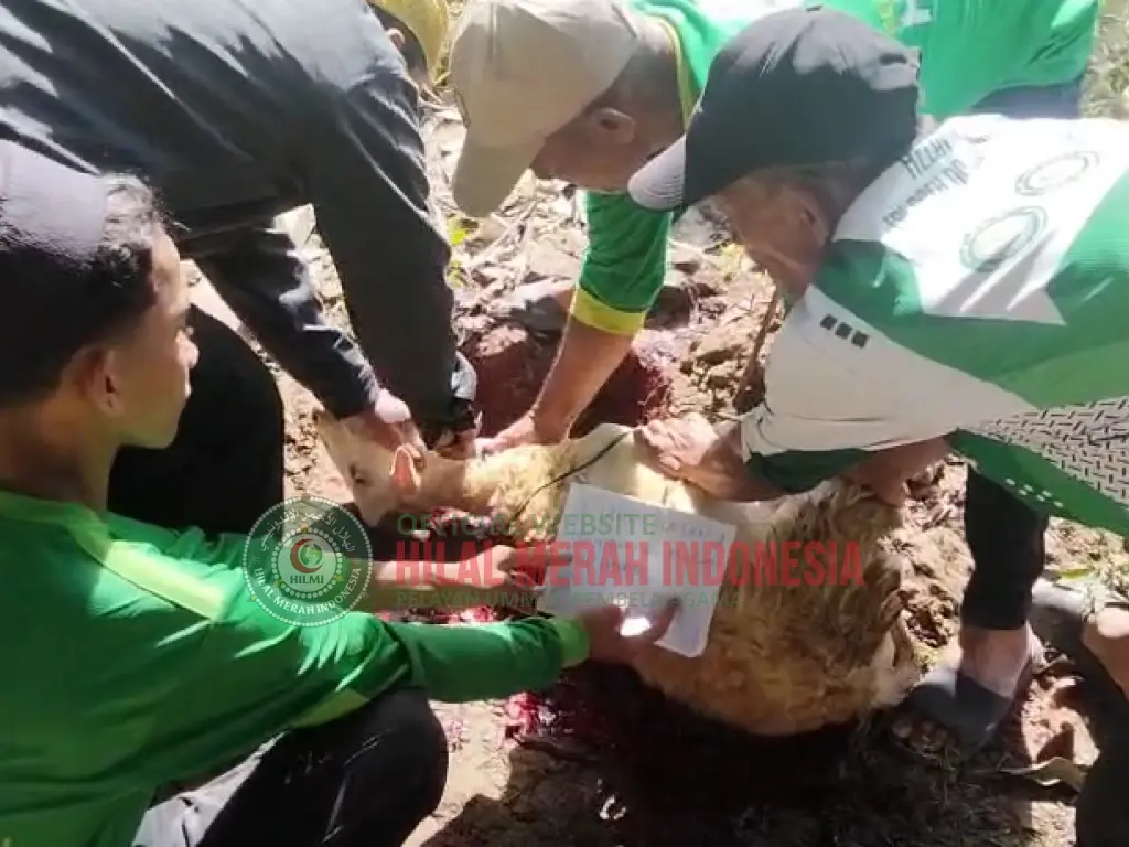 Hilmi Program Tebar Qurban Jangkau Aceh dan Sumatera Utara