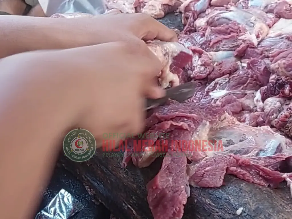 Hilmi Tebar Qurban Hingga Pedalaman