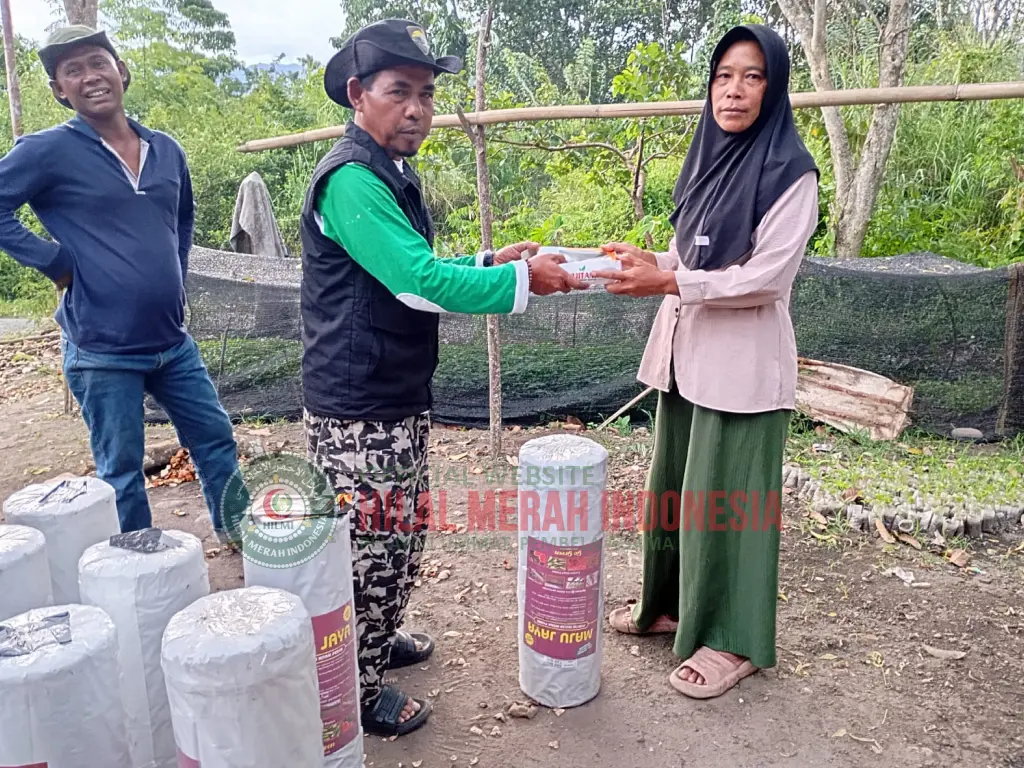 HILMI Aceh Salurkan Bantuan Sarana Pertanian bagi Petani Cabai Korban Banjir 1